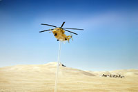 DSF-003 �W�I���}�V�[�g �����w�i�̃��C�A�E�g�T���v���摜