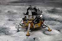 DSF-005 �W�I���}�V�[�g [FREE �F���Z�b�g]�̃��C�A�E�g�T���v�� [����Z��]