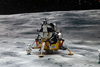 DSF-005 �W�I���}�V�[�g [FREE �F���Z�b�g]�̃��C�A�E�g�T���v�� [����Z��]