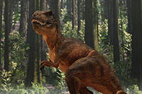 ���� �W�I���}�V�[�gNEO DSF-006N ���C�A�E�g�T���v��-����Z��-