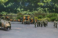 DSF-015 �W�I���}�V�[�g [FREE ���㕔���W�J�Z�b�gA]�̃��C�A�E�g�T���v���摜