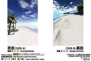 DSF-F002N �W�I���}�V�[�gNEO [FREE �r�[�`�Z�b�g]�̉摜