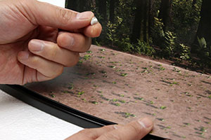 �f�B�X�v���C�W�����f���E�����̌Œ���@�̏Љ�摜