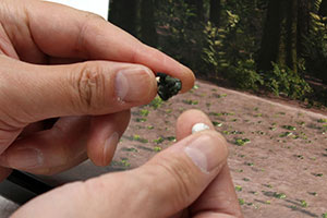 �f�B�X�v���C�W�����f���E�����̌Œ���@�̏Љ�摜